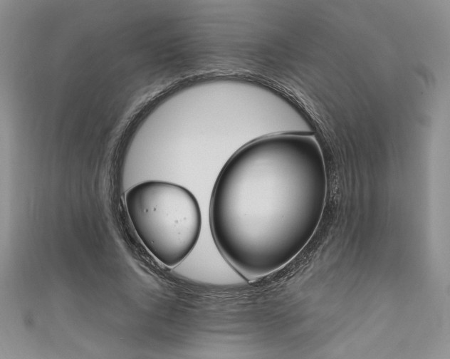 X0000111190736200907011411