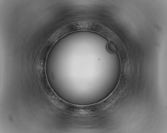 X0000111190737200907011411