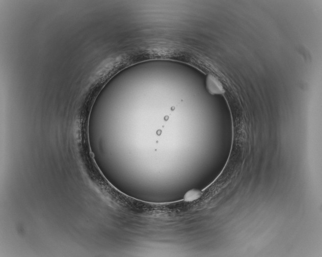 X0000111190738200907011411