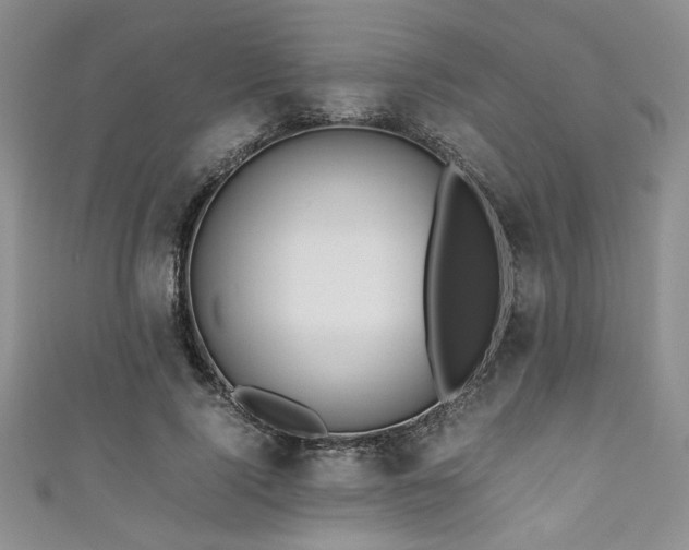 X0000111190740200907011411