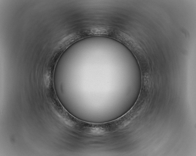 X0000111190741200907011411