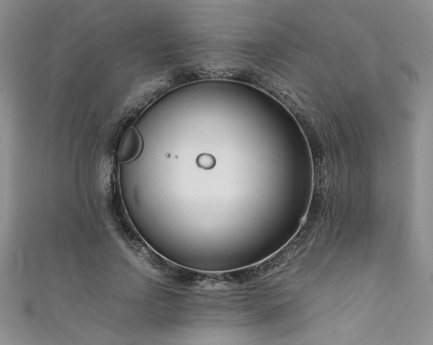 X0000111190742200907011411