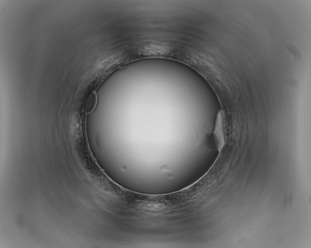 X0000111190743200907011411