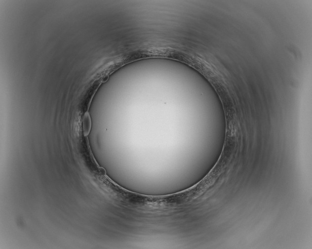 X0000111190744200907011411