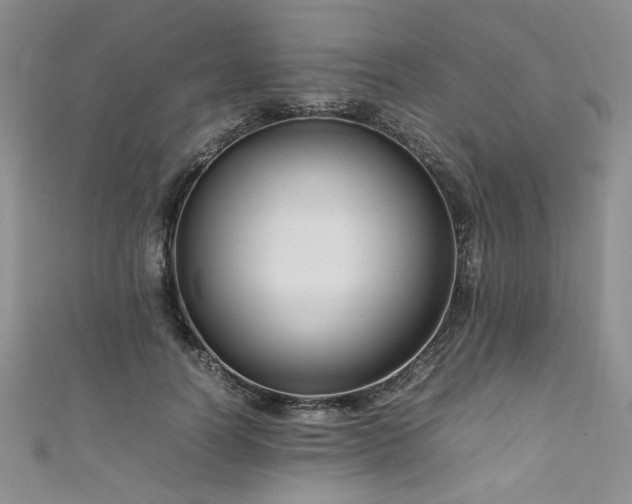 X0000111190746200907011411