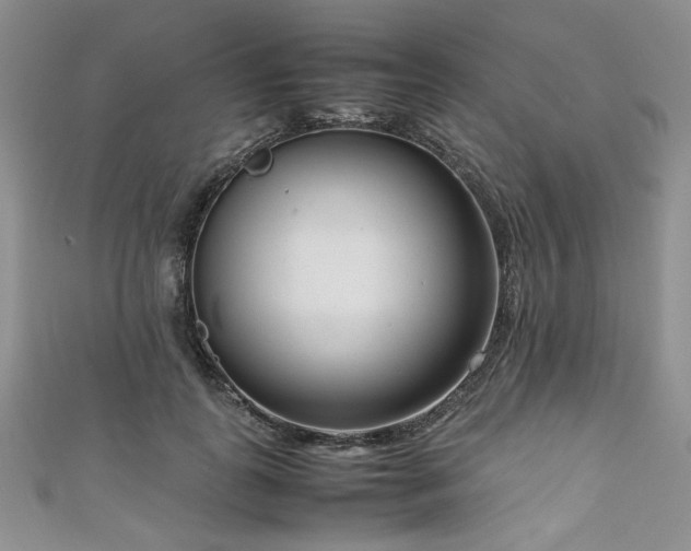 X0000111190747200907011411