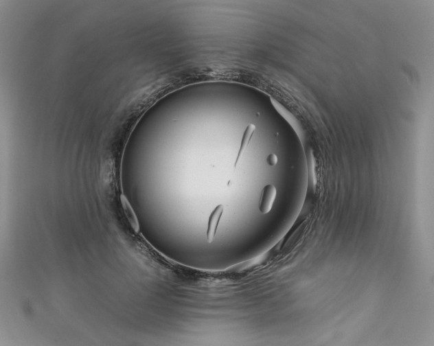 X0000111190748200907011411