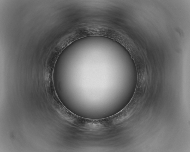 X0000111190749200907011411