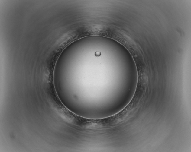 X0000111190750200907011411