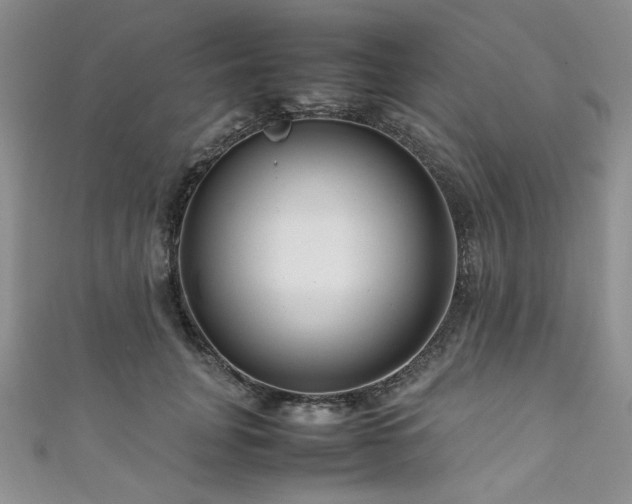 X0000111190751200907011411