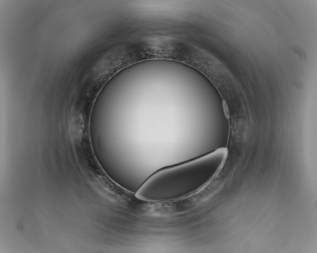 X0000111190752200907011411