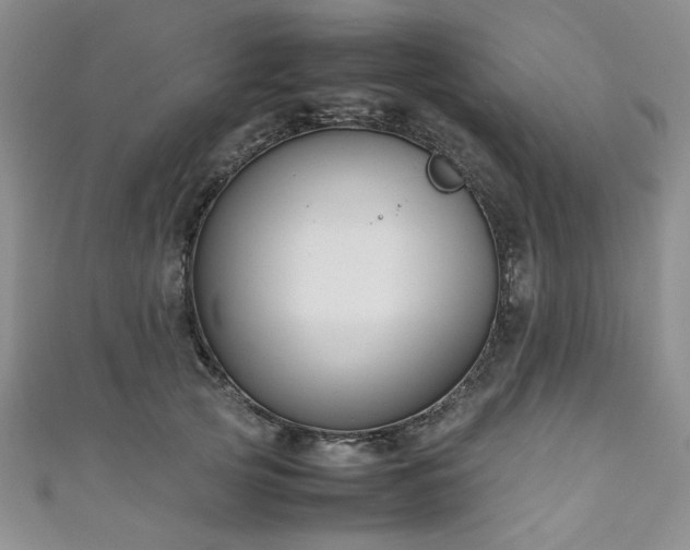 X0000111190753200907011411