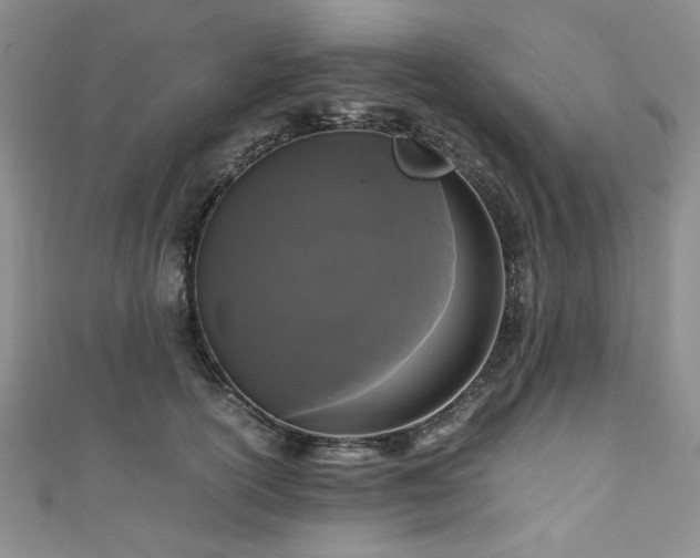 X0000111190754200907011411