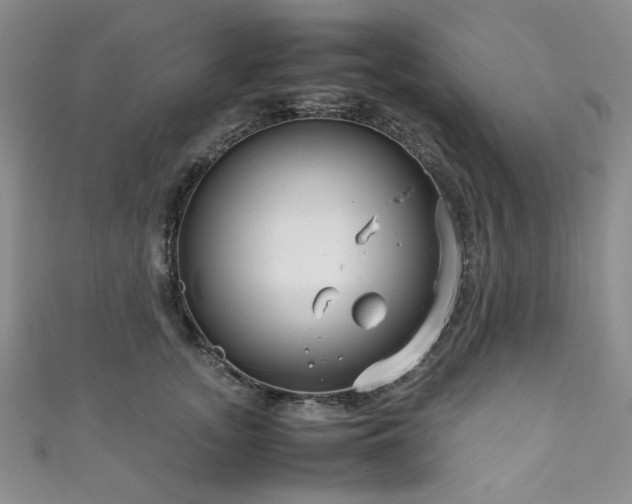 X0000111190755200907011411