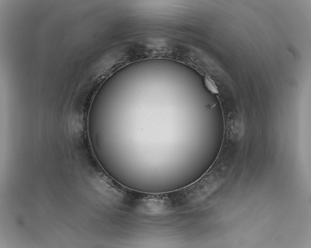 X0000111190756200907011411