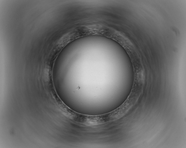 X0000111190757200907011412