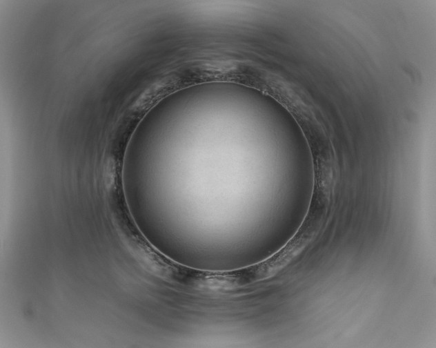 X0000111190758200907011412