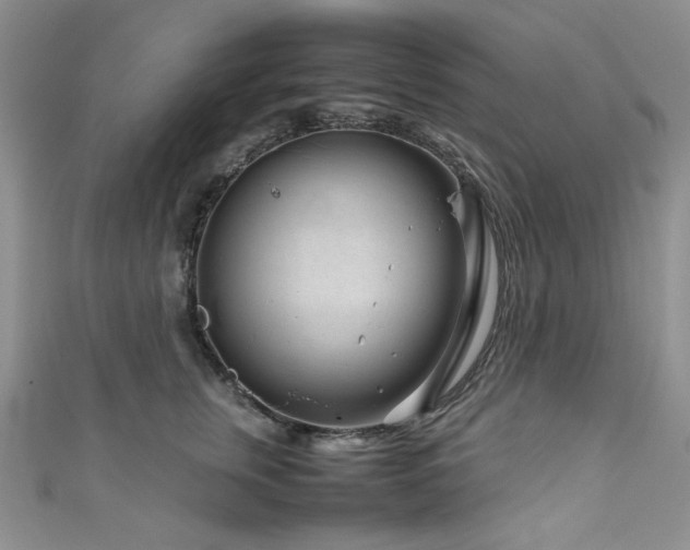 X0000111190759200907011412