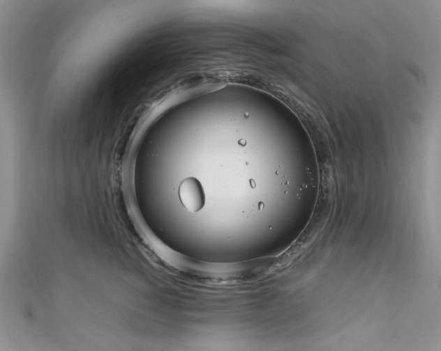 X0000111190760200907011412