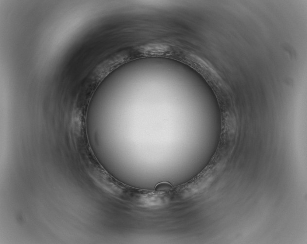 X0000111190761200907011412