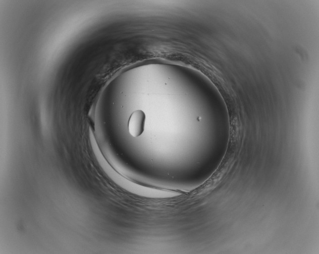 X0000111190762200907011412