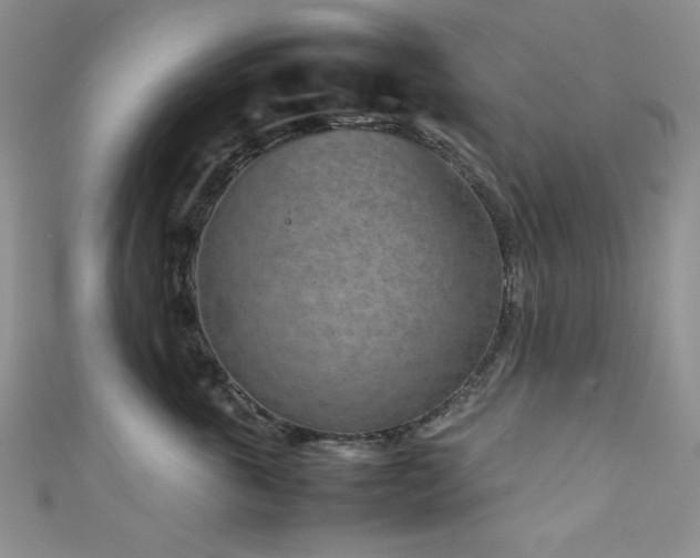 X0000111190763200907011412