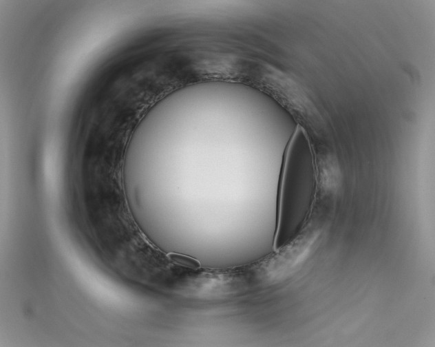 X0000111190764200907011412