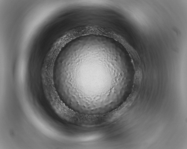 X0000111190765200907011412