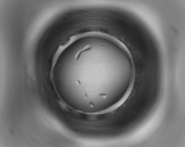 X0000111190766200907011412