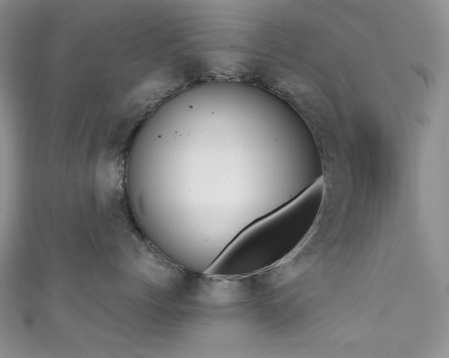 X0000111190768200907011412