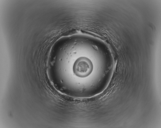 X0000111190769200907011411