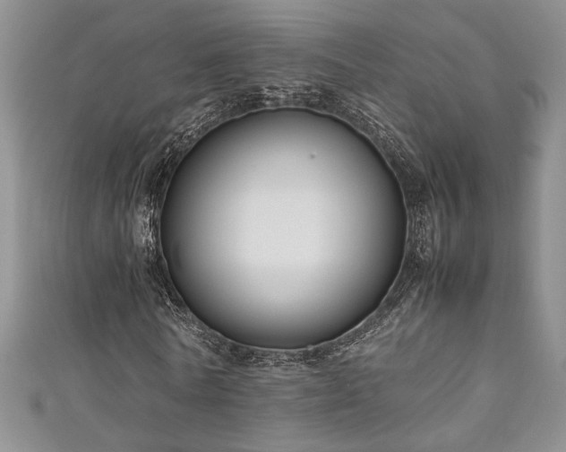 X0000111190770200907011411