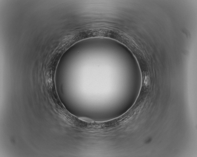 X0000111190771200907011411