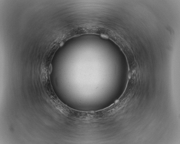 X0000111190772200907011411