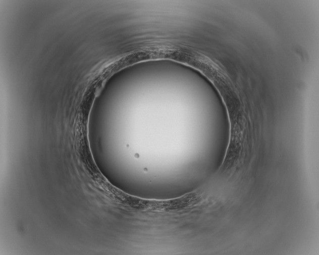 X0000111190773200907011411