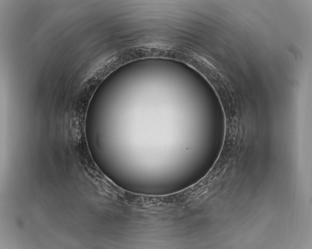 X0000111190774200907011411