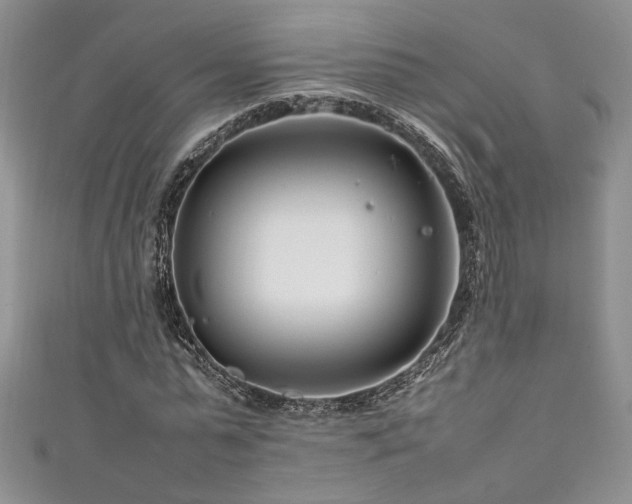 X0000111190775200907011411