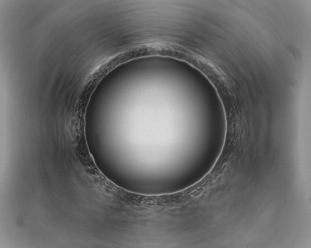 X0000111190776200907011411