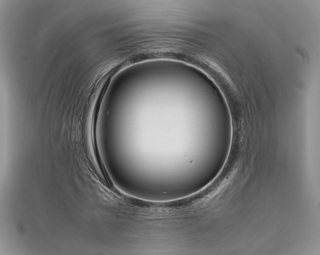 X0000111190777200907011411