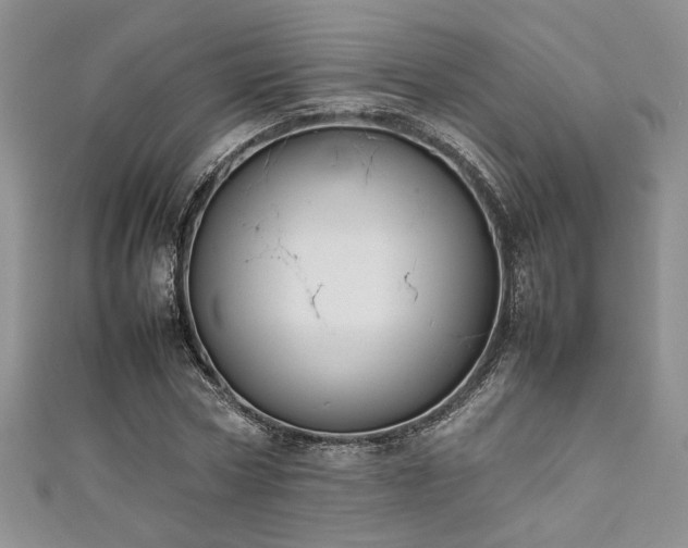 X0000111190778200907011411