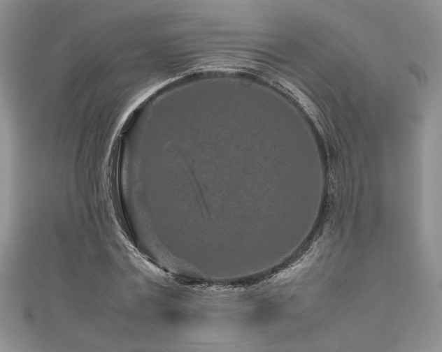 X0000111190779200907011411