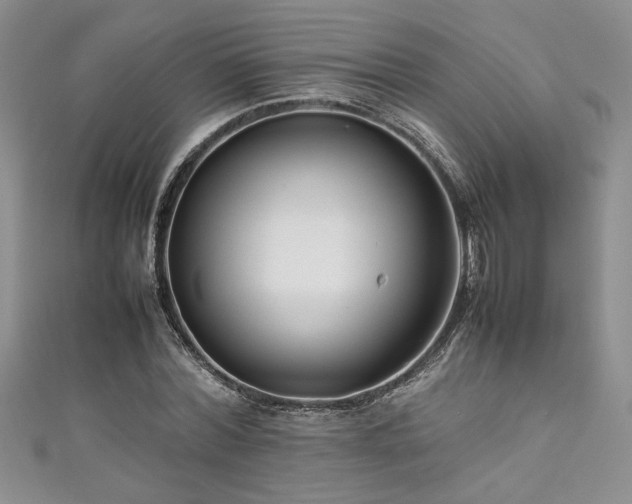 X0000111190780200907011411