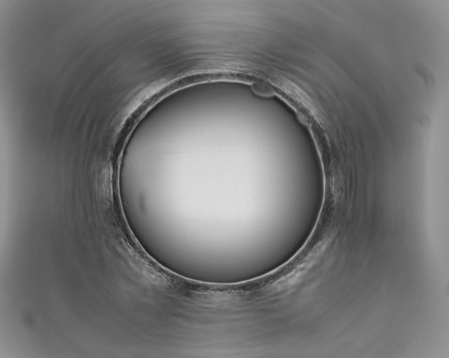 X0000111190781200907011411