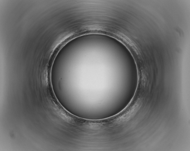 X0000111190782200907011411