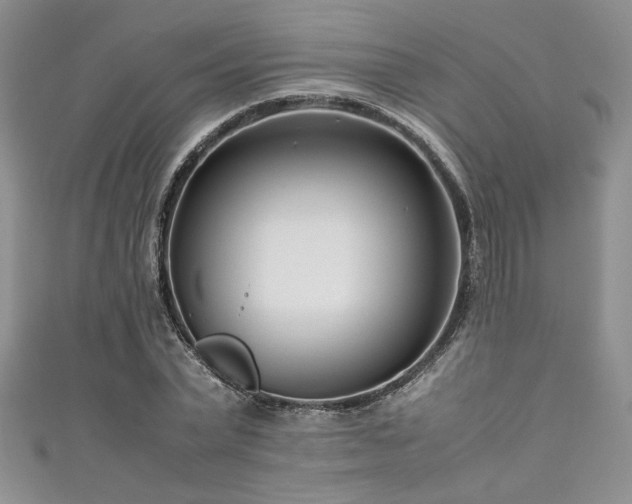 X0000111190783200907011411