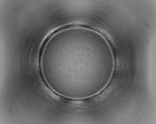 X0000111190784200907011411