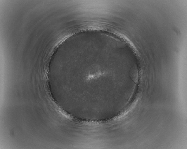 X0000111190785200907011411