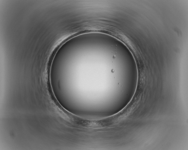 X0000111190787200907011411