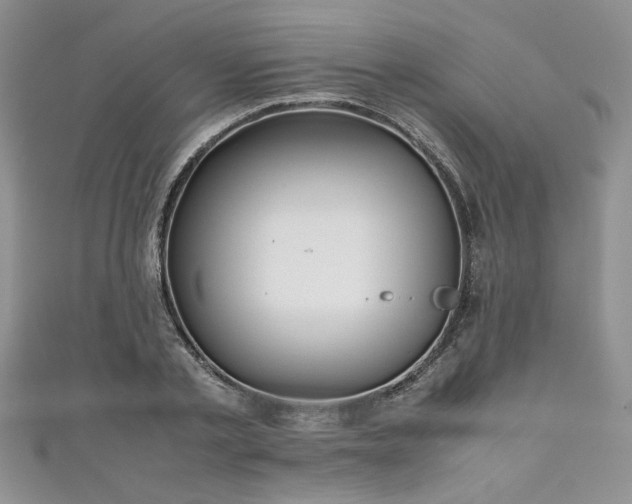 X0000111190789200907011411