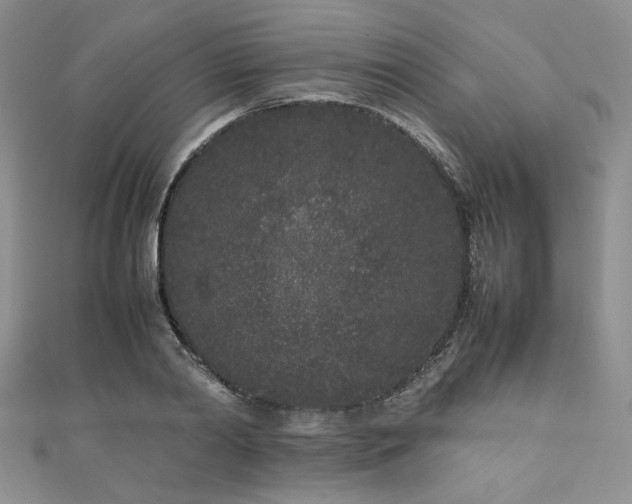 X0000111190790200907011411